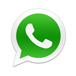 Whatsapp para contato com Selene Castro